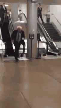 Bernie Bernie Sanders GIF