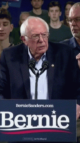 Bernie Sanders Bernie GIF
