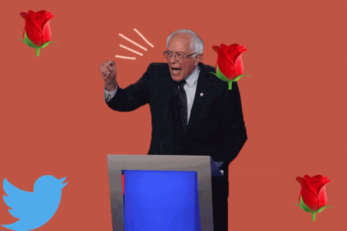 Bernie Sanders Bernie GIF