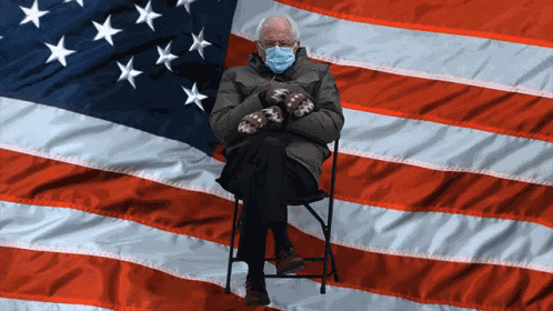 Bernie Sanders Mittens Bernie GIF