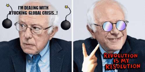 Bernie Sanders Vote GIF