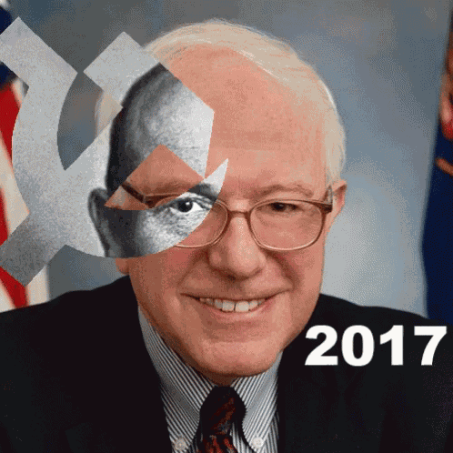 Bernie Sanders GIF
