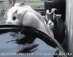 Best Friend Friends GIF
