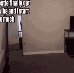 Best Friend Mirror GIF