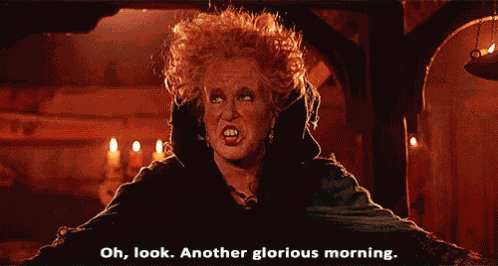 Bettemidler Hocuspocus GIF