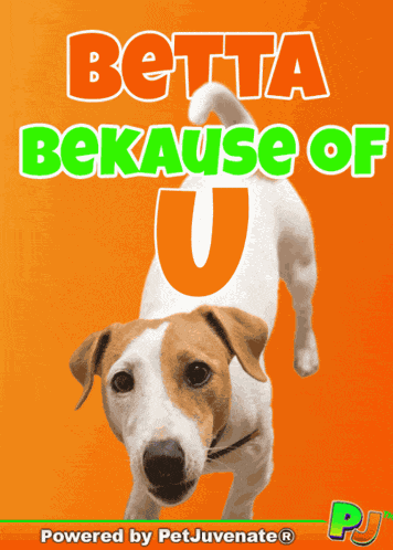 Better Because Of You You Lif GIF