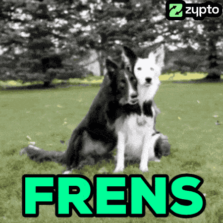 Bff Border Collie GIF