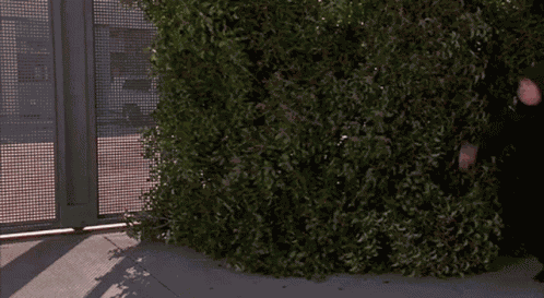 Bh187 Beverly Hills Ninja GIF