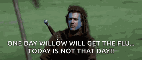 Bh187 Braveheart GIF