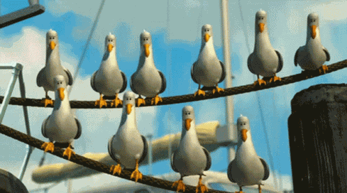 Bh187 Finding Nemo GIF