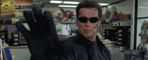 Bh187 Terminator GIF