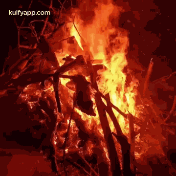 Bhogi Manta.Gif GIF