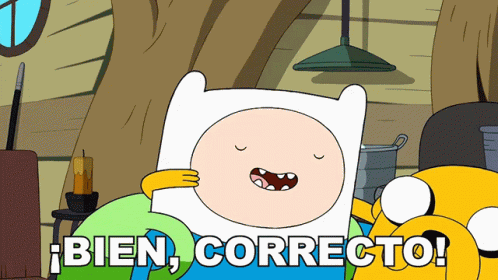 Bien Correcto Finn GIF