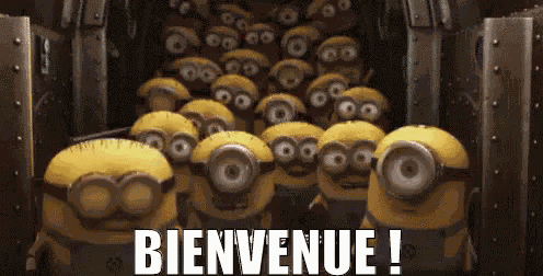 Bienvenue GIF