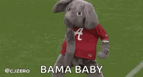 Big Al Excited GIF