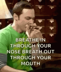 Big Bang Theory Sheldon Cooper GIF