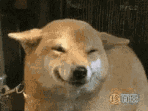 Big Chungus GIF