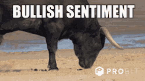 Big Dude GIF