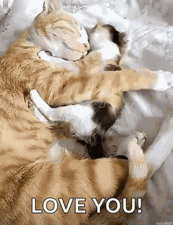 Big Hug GIF