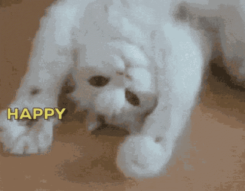 Big Hug GIF
