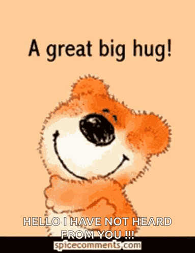 Big Hugs GIF