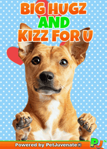 Big Hugs Sending Big GIF