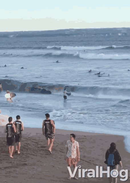 Big Waves Hits Surfer Beach GIF