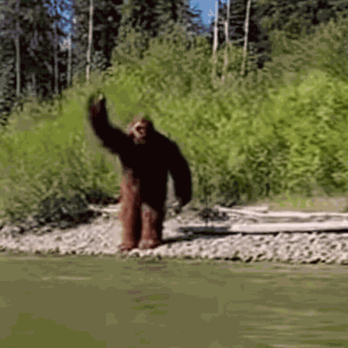 Bigfoot Hello GIF
