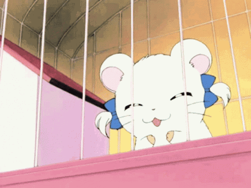 Bijou Hamtaro GIF