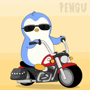 Bike Biker GIF
