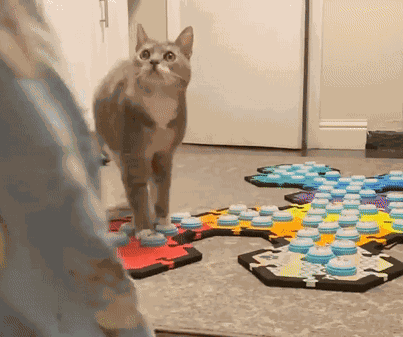 Billi Billispeaks GIF