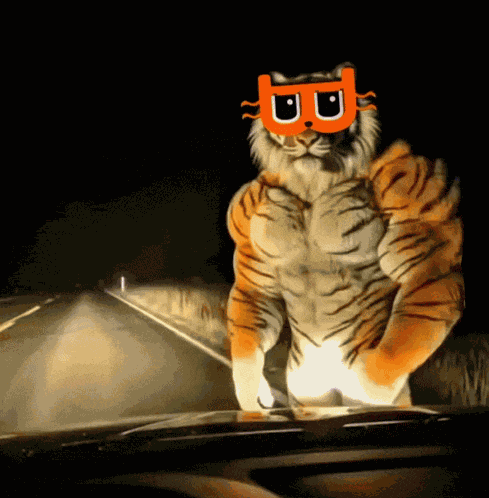 Billy Billydollar GIF