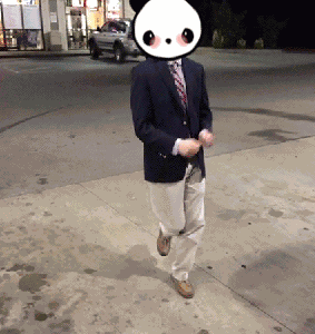 Bip Based Internet Panda GIF