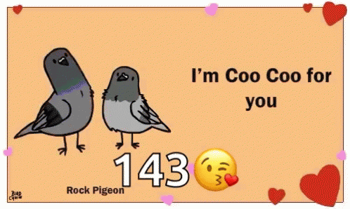 Bird Birds GIF