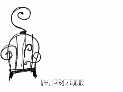 Bird Cage Free GIF