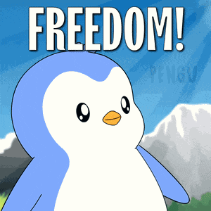 Bird Freedom GIF