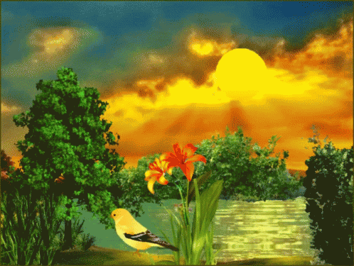 Bird Lake GIF