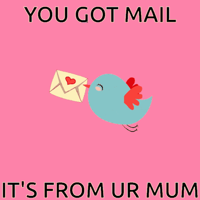 Bird Mail GIF