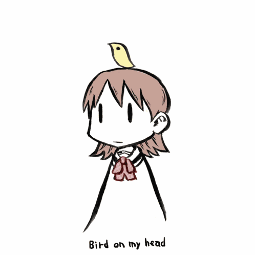Bird On My Head Explosion GIF