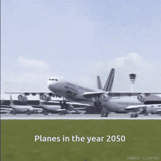 Bird Plane GIF