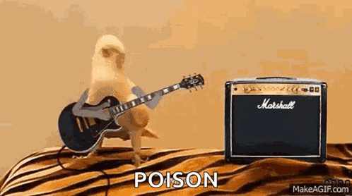 Bird Poison Talk Dirty To Me Talk Birdy To Me GIF