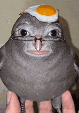 Bird Weird GIF