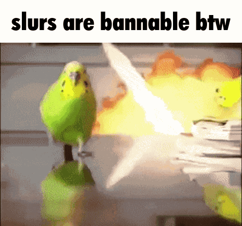Birdlover483 Slurs Are Bannable Btw GIF