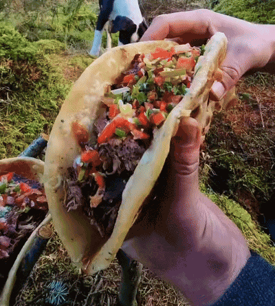 Birria Taco Mexican Food GIF