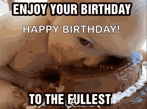 Birthday Baby GIF