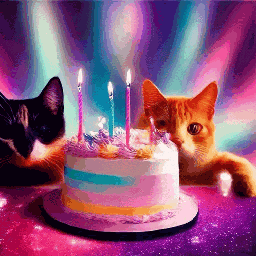 Birthday Birthday Cake GIF