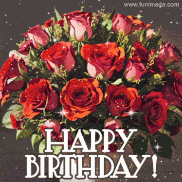 Birthday Birthday Wishes GIF