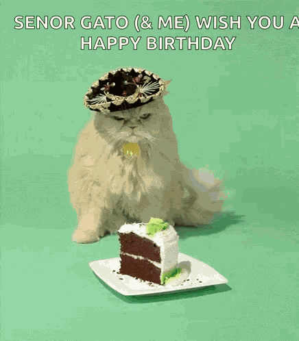 Birthday Cake Birthday Cat GIF