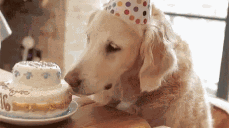Birthday Cake Happy Birthday GIF