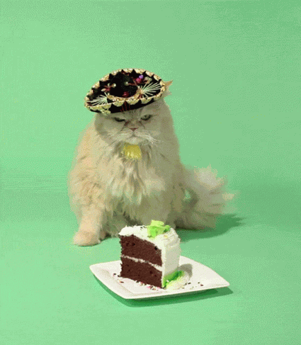 Birthday Cat Cake GIF